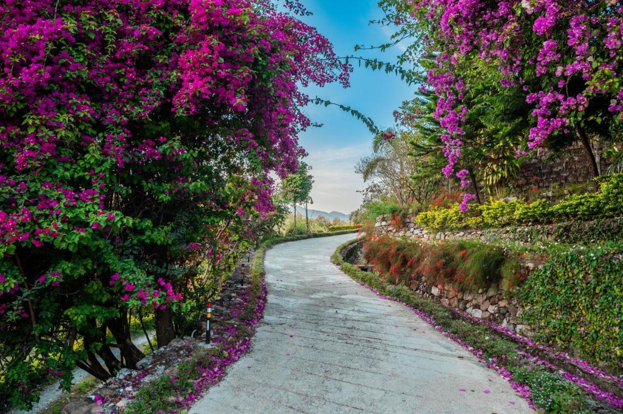 Tree Of Life Resort Dehradun Foothills Bagian luar foto