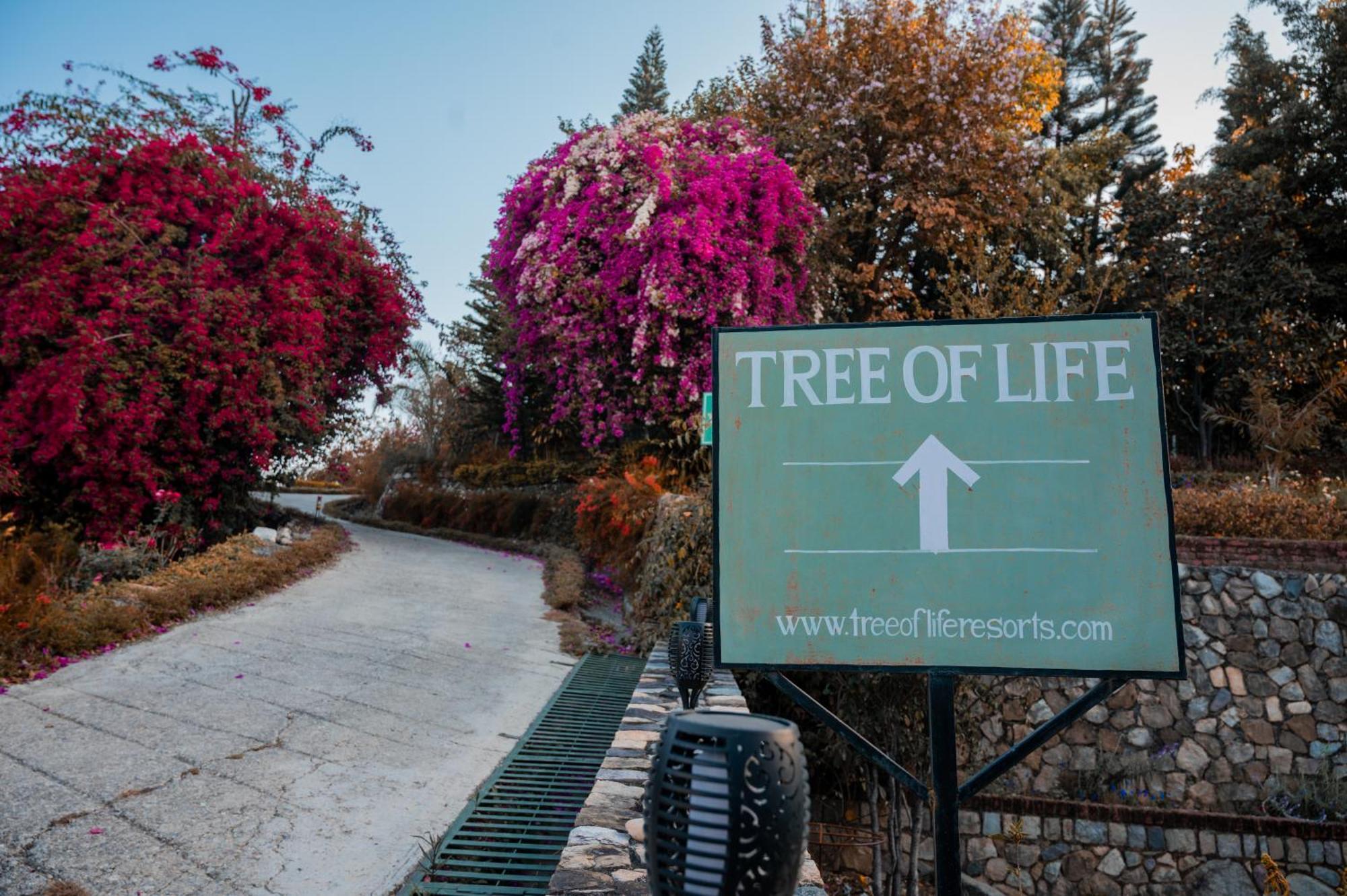 Tree Of Life Resort Dehradun Foothills Bagian luar foto
